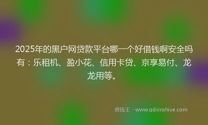 2025年的黑户网贷款平台哪一个好借钱啊安全吗有：乐租机、盈小花、信用卡贷、京享易付、龙龙用等。