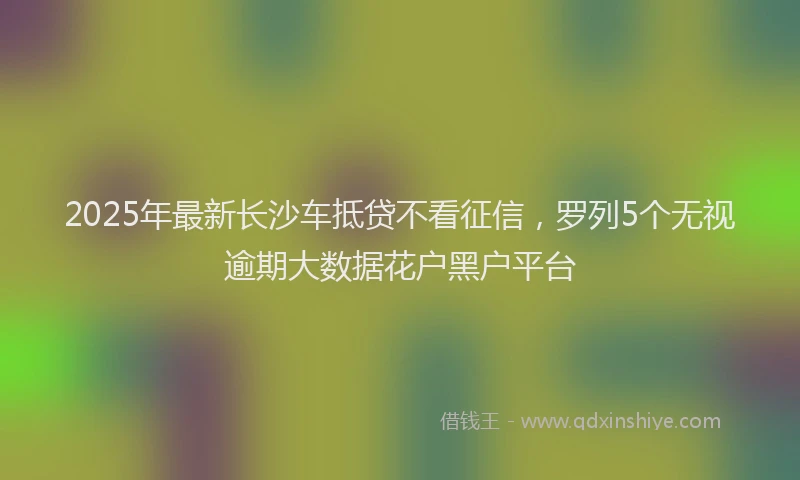 2025年最新长沙车抵贷不看征信，罗列5个无视逾期大数据花户黑户平台