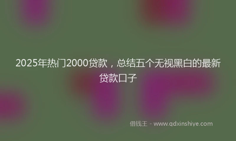 2025年热门2000贷款，总结五个无视黑白的最新贷款口子