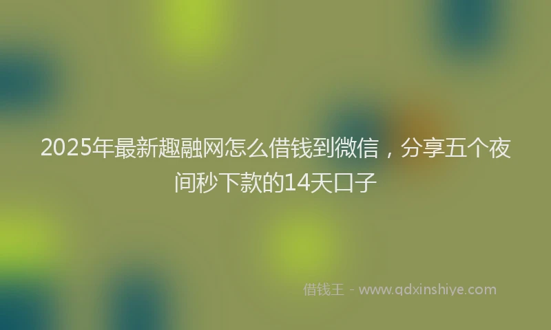 2025年最新趣融网怎么借钱到微信，分享五个夜间秒下款的14天口子