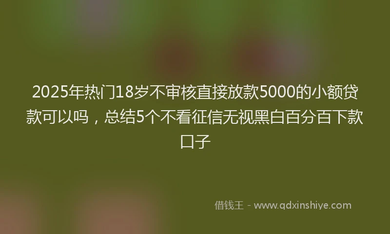 2025年热门18岁不审核直接放款5000的小额贷款可以吗，总结5个不看征信无视黑白百分百下款口子
