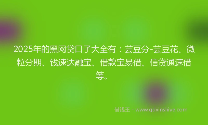 2025年的黑网贷口子大全有：芸豆分-芸豆花、微粒分期、钱速达融宝、借款宝易借、信贷通速借等。