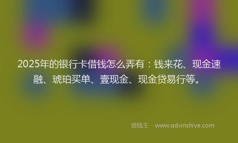 2025年的银行卡借钱怎么弄有：钱来花、现金速融、琥珀买单、壹现金、现金贷易行等。