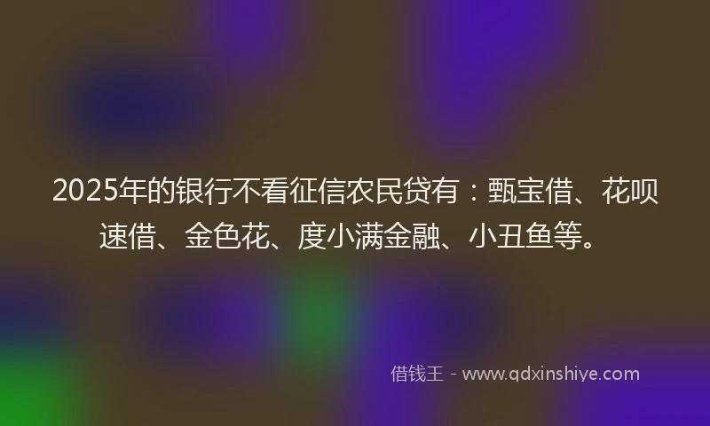 2025年的银行不看征信农民贷有：甄宝借、花呗速借、金色花、度小满金融、小丑鱼等。