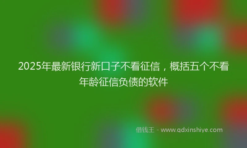 2025年最新银行新口子不看征信，概括五个不看年龄征信负债的软件