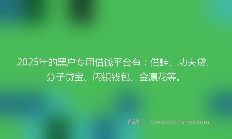 2025年的黑户专用借钱平台有：借蛙、功夫贷、分子贷宝、闪银钱包、金瀛花等。