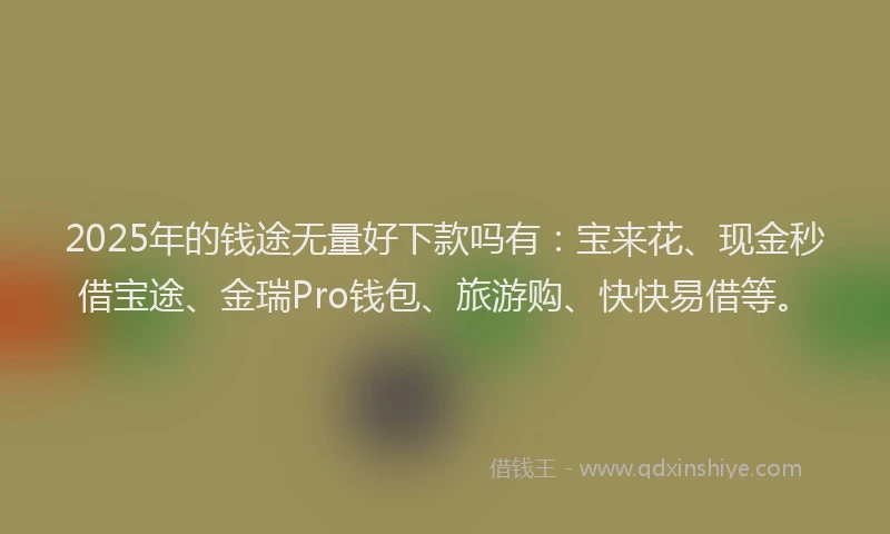 2025年的钱途无量好下款吗有：宝来花、现金秒借宝途、金瑞Pro钱包、旅游购、快快易借等。