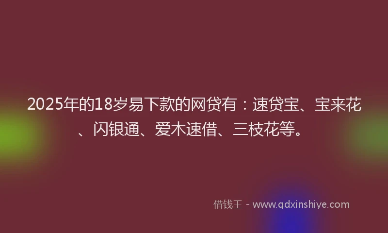 2025年的18岁易下款的网贷有：速贷宝、宝来花、闪银通、爱木速借、三枝花等。