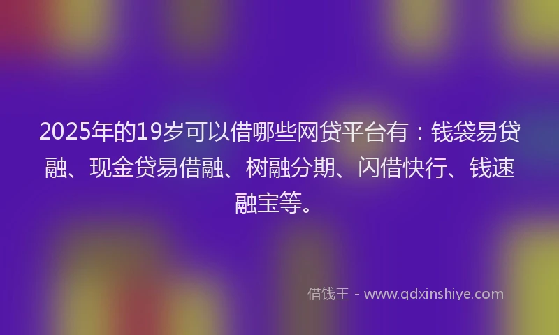 2025年的19岁可以借哪些网贷平台有：钱袋易贷融、现金贷易借融、树融分期、闪借快行、钱速融宝等。