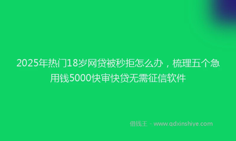 2025年热门18岁网贷被秒拒怎么办，梳理五个急用钱5000快审快贷无需征信软件