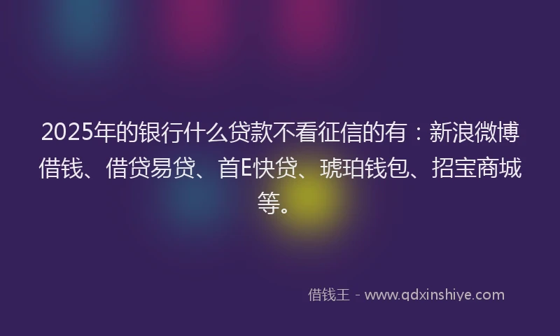 2025年的银行什么贷款不看征信的有：新浪微博借钱、借贷易贷、首E快贷、琥珀钱包、招宝商城等。