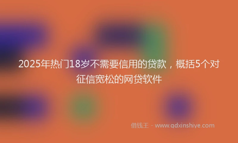 2025年热门18岁不需要信用的贷款，概括5个对征信宽松的网贷软件