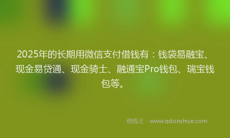 2025年的长期用微信支付借钱有：钱袋易融宝、现金易贷通、现金骑士、融通宝Pro钱包、瑞宝钱包等。