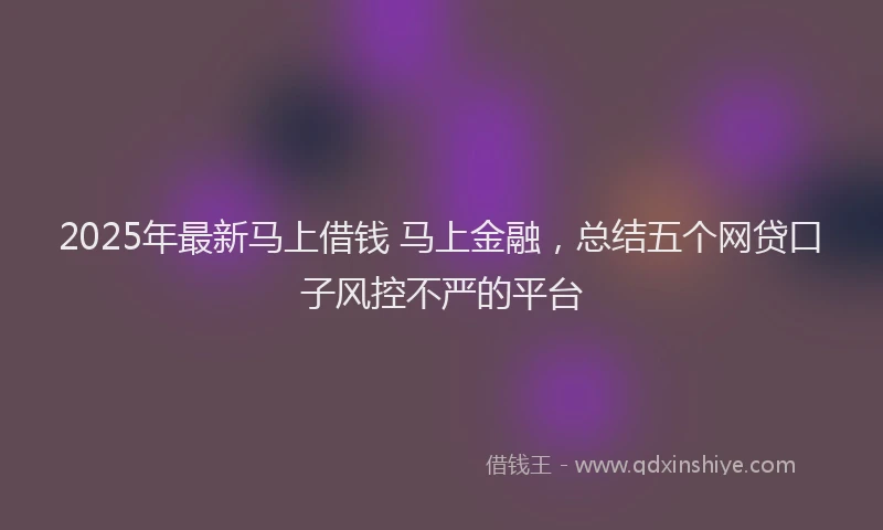 2025年最新马上借钱 马上金融，总结五个网贷口子风控不严的平台