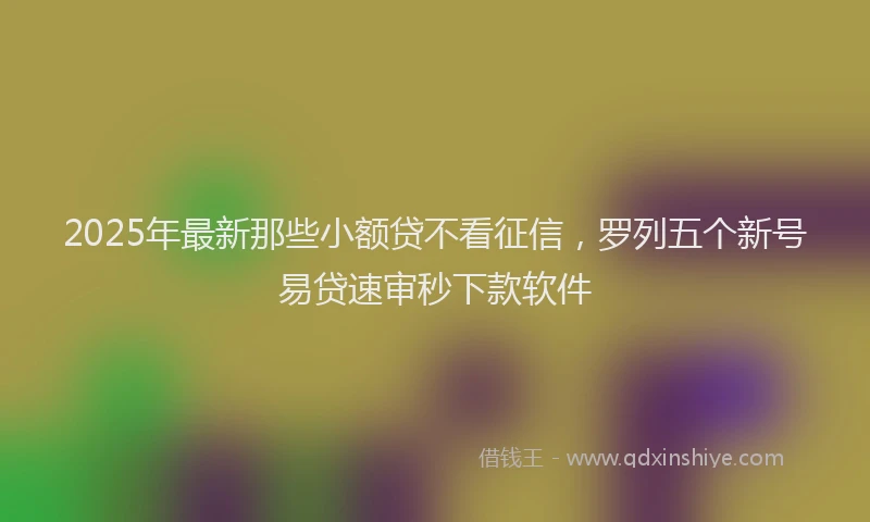 2025年最新那些小额贷不看征信，罗列五个新号易贷速审秒下款软件
