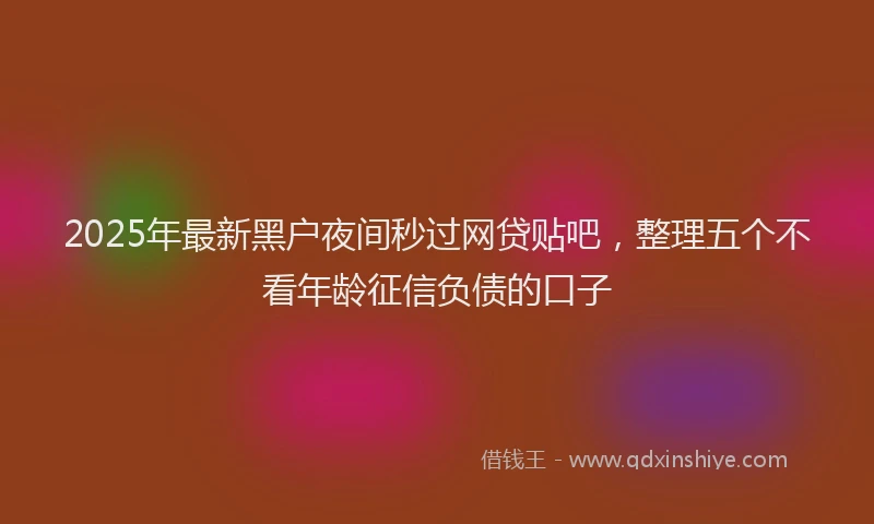 2025年最新黑户夜间秒过网贷贴吧，整理五个不看年龄征信负债的口子