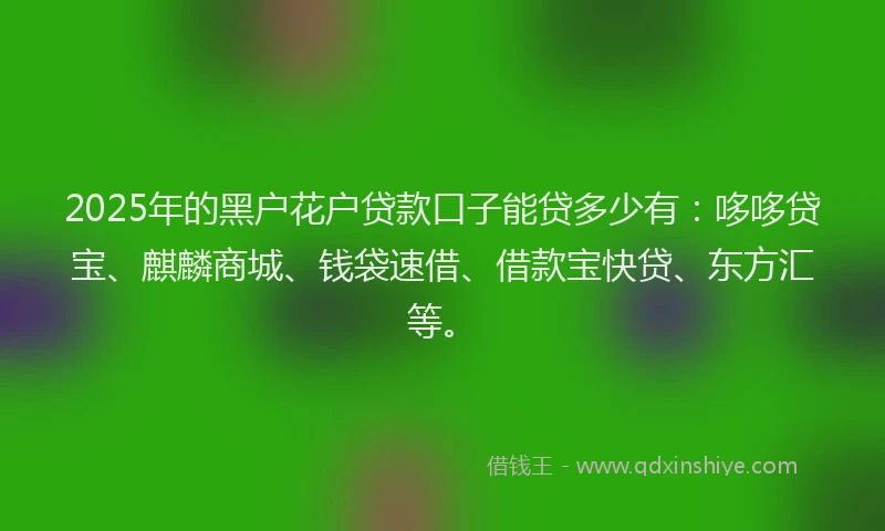 2025年的黑户花户贷款口子能贷多少有：哆哆贷宝、麒麟商城、钱袋速借、借款宝快贷、东方汇等。