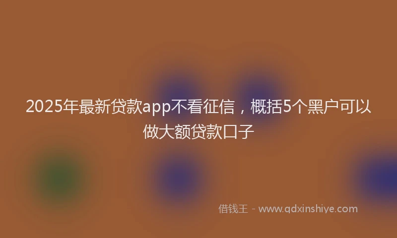 2025年最新贷款app不看征信，概括5个黑户可以做大额贷款口子