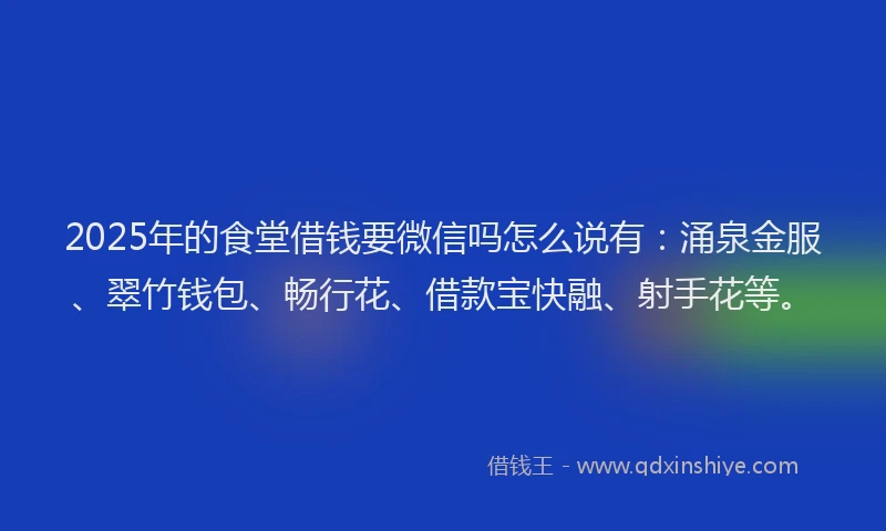 2025年的食堂借钱要微信吗怎么说有：涌泉金服、翠竹钱包、畅行花、借款宝快融、射手花等。