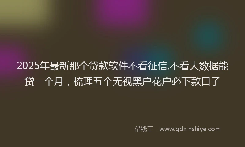 2025年最新那个贷款软件不看征信,不看大数据能贷一个月，梳理五个无视黑户花户必下款口子