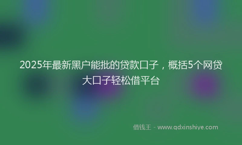 2025年最新黑户能批的贷款口子，概括5个网贷大口子轻松借平台