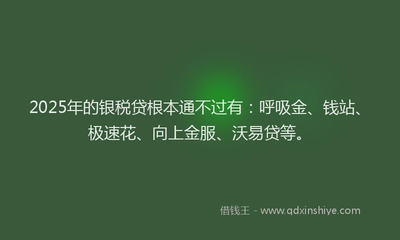 2025年的银税贷根本通不过有：呼吸金、钱站、极速花、向上金服、沃易贷等。
