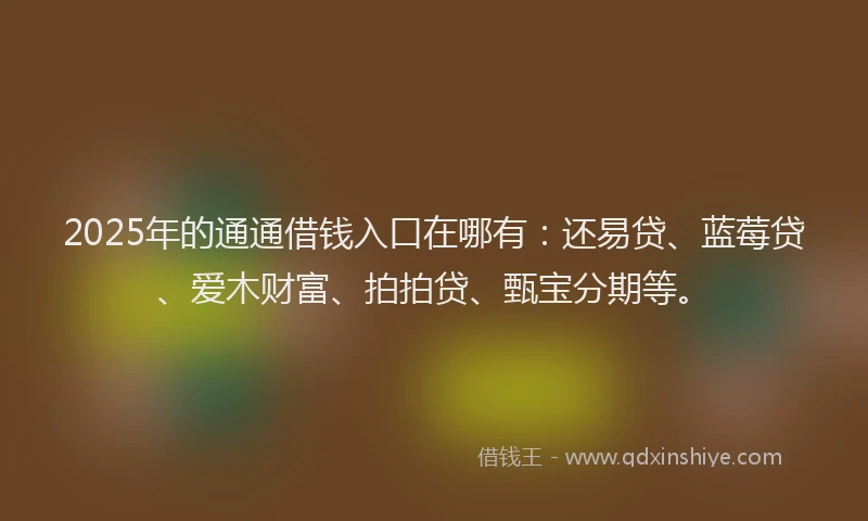 2025年的通通借钱入口在哪有：还易贷、蓝莓贷、爱木财富、拍拍贷、甄宝分期等。