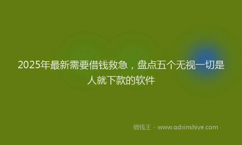 2025年最新需要借钱救急，盘点五个无视一切是人就下款的软件