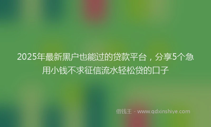 2025年最新黑户也能过的贷款平台，分享5个急用小钱不求征信流水轻松贷的口子