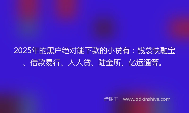 2025年的黑户绝对能下款的小贷有：钱袋快融宝、借款易行、人人贷、陆金所、亿运通等。