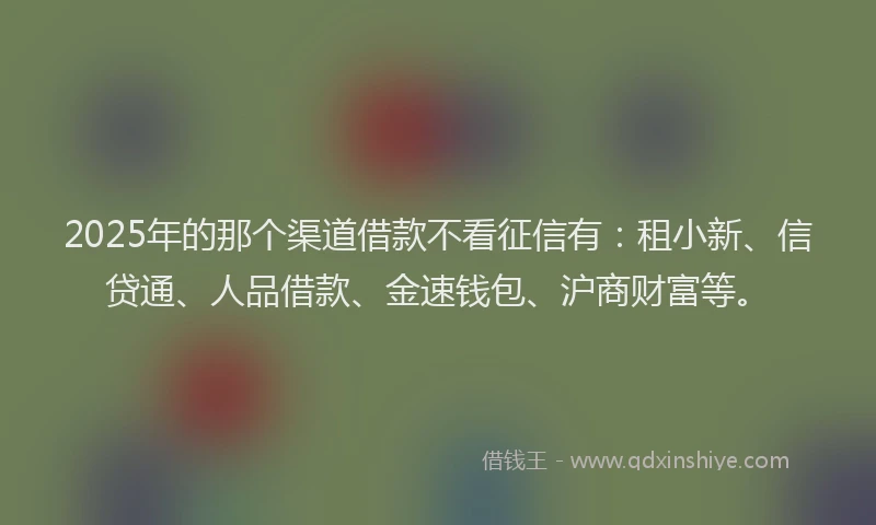 2025年的那个渠道借款不看征信有：租小新、信贷通、人品借款、金速钱包、沪商财富等。