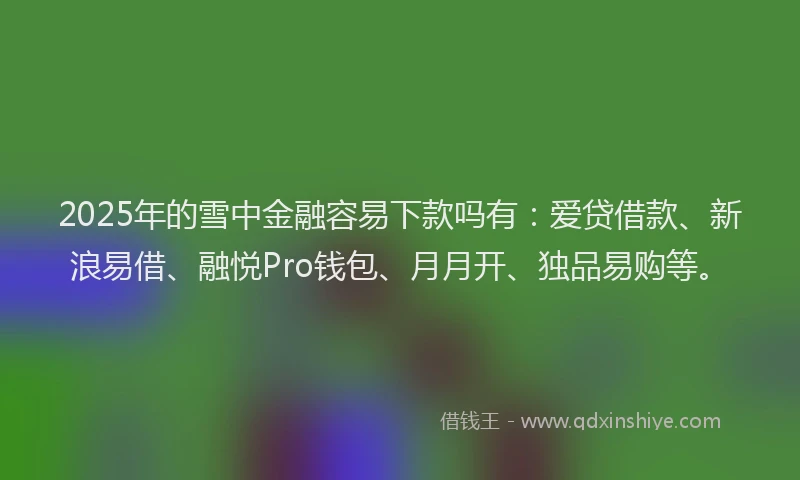 2025年的雪中金融容易下款吗有：爱贷借款、新浪易借、融悦Pro钱包、月月开、独品易购等。