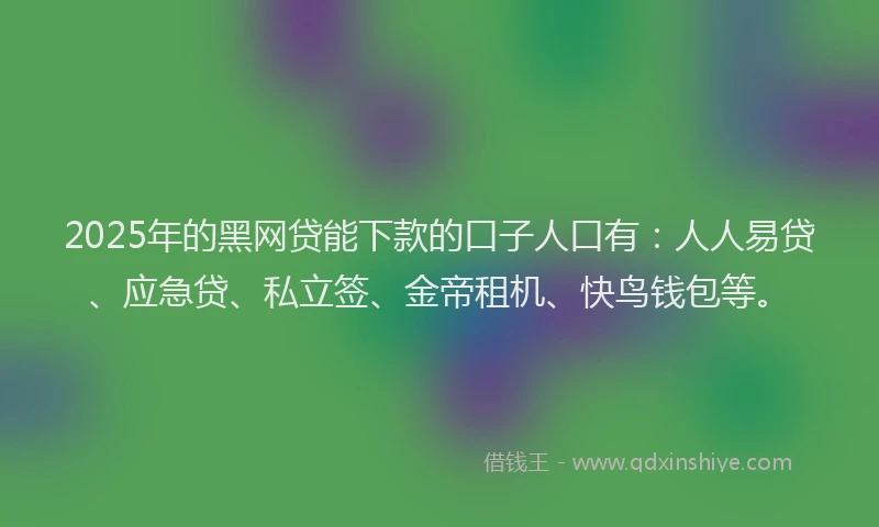 2025年的黑网贷能下款的口子人口有：人人易贷、应急贷、私立签、金帝租机、快鸟钱包等。