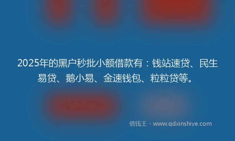 2025年的黑户秒批小额借款有:钱站速贷、民生易贷、鹅小易、金速钱包、粒粒贷等。