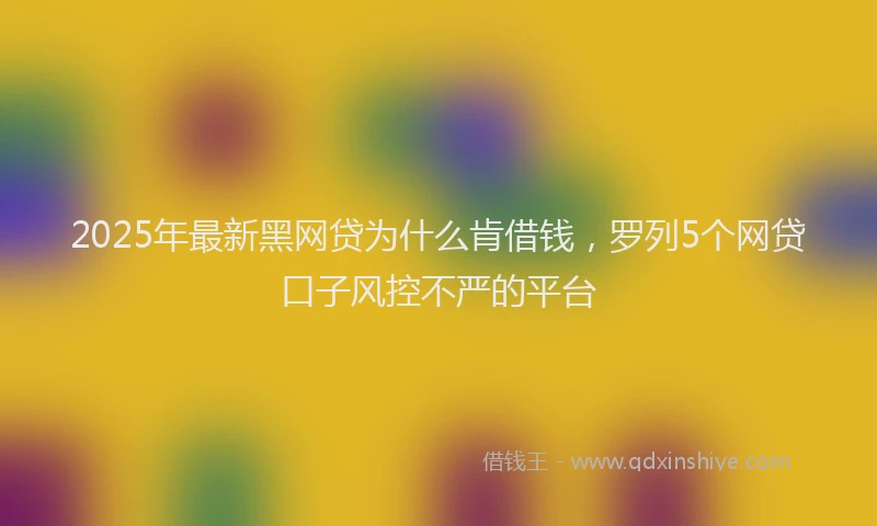 2025年最新黑网贷为什么肯借钱，罗列5个网贷口子风控不严的平台