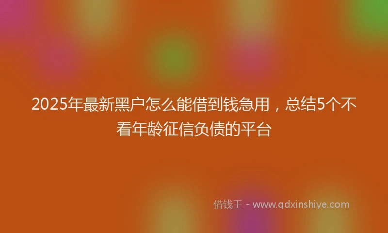 2025年最新黑户怎么能借到钱急用，总结5个不看年龄征信负债的平台
