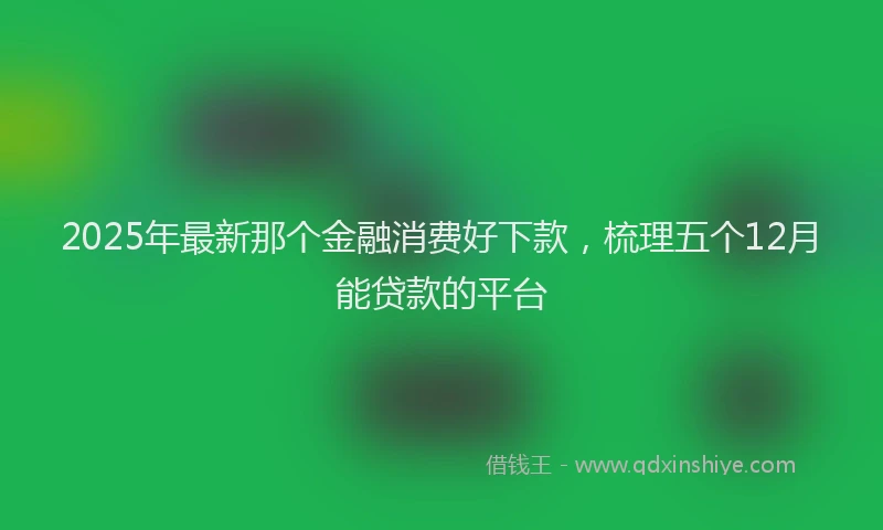 2025年最新那个金融消费好下款，梳理五个12月能贷款的平台
