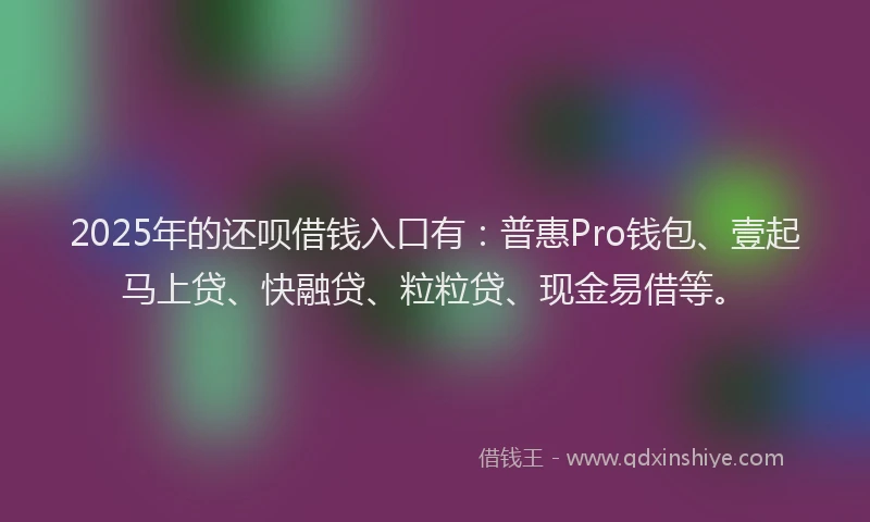 2025年的还呗借钱入口有：普惠Pro钱包、壹起马上贷、快融贷、粒粒贷、现金易借等。