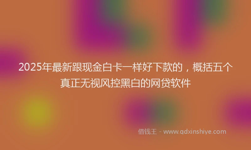 2025年最新跟现金白卡一样好下款的，概括五个真正无视风控黑白的网贷软件