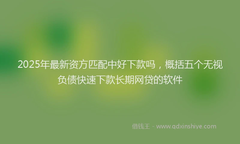 2025年最新资方匹配中好下款吗，概括五个无视负债快速下款长期网贷的软件