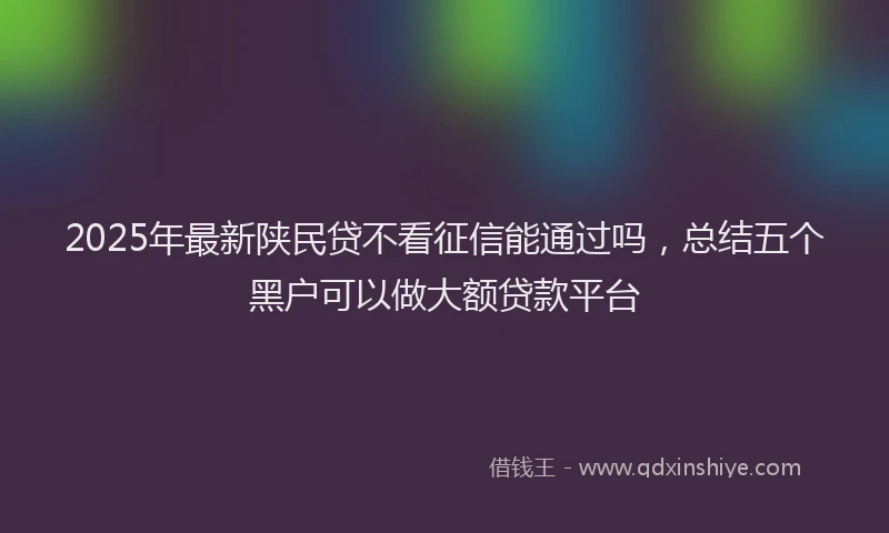 2025年最新陕民贷不看征信能通过吗，总结五个黑户可以做大额贷款平台
