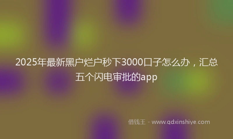 2025年最新黑户烂户秒下3000口子怎么办，汇总五个闪电审批的app