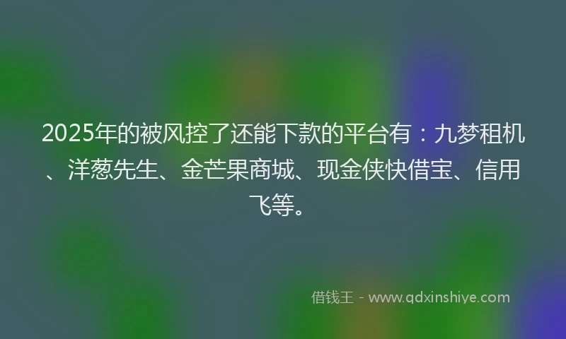 2025年的被风控了还能下款的平台有：九梦租机、洋葱先生、金芒果商城、现金侠快借宝、信用飞等。
