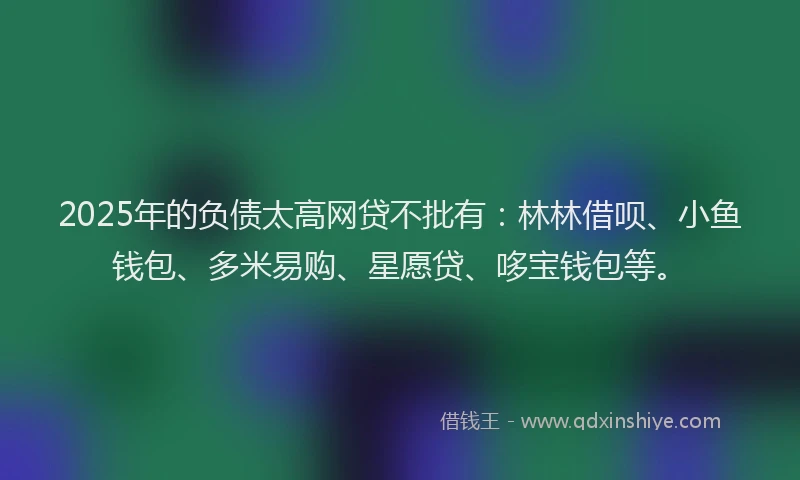 2025年的负债太高网贷不批有：林林借呗、小鱼钱包、多米易购、星愿贷、哆宝钱包等。