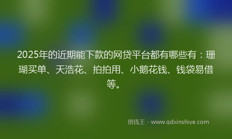 2025年的近期能下款的网贷平台都有哪些有：珊瑚买单、天浩花、拍拍用、小鹅花钱、钱袋易借等。