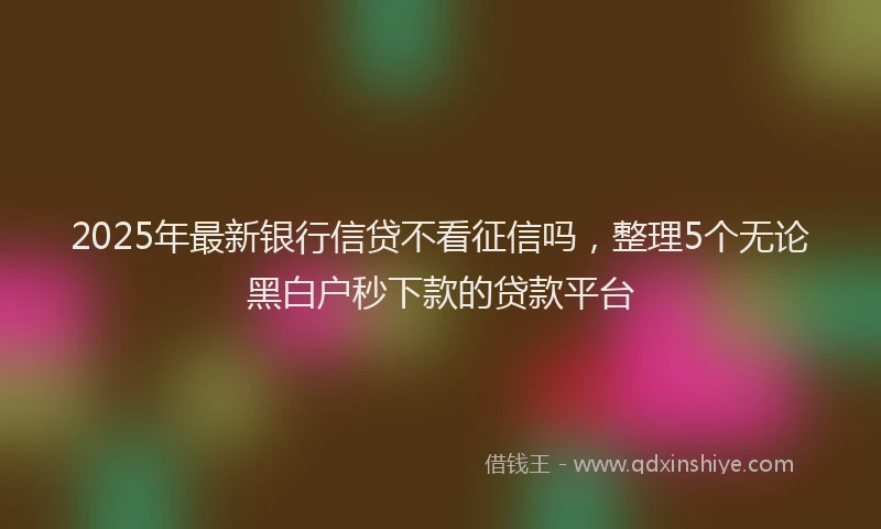 2025年最新银行信贷不看征信吗，整理5个无论黑白户秒下款的贷款平台