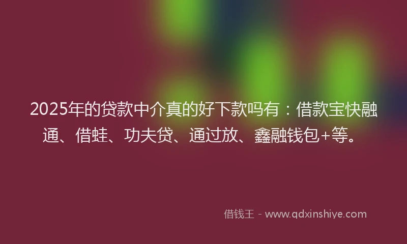 2025年的贷款中介真的好下款吗有：借款宝快融通、借蛙、功夫贷、通过放、鑫融钱包+等。