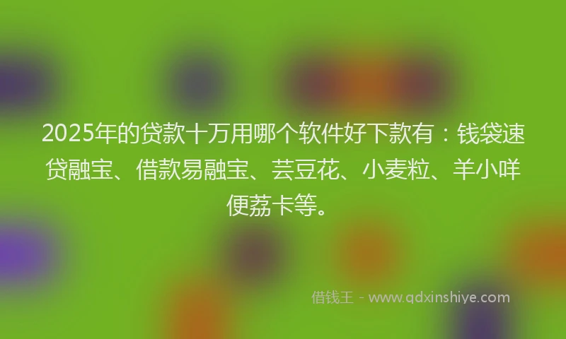 2025年的贷款十万用哪个软件好下款有：钱袋速贷融宝、借款易融宝、芸豆花、小麦粒、羊小咩便荔卡等。