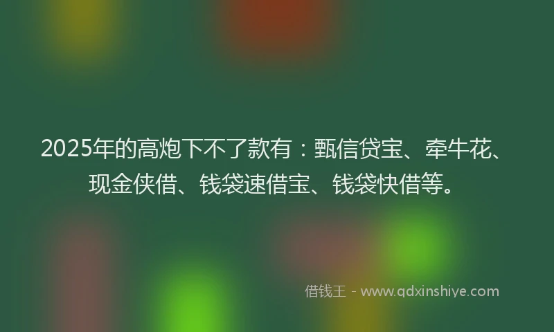 2025年的高炮下不了款有：甄信贷宝、牵牛花、现金侠借、钱袋速借宝、钱袋快借等。