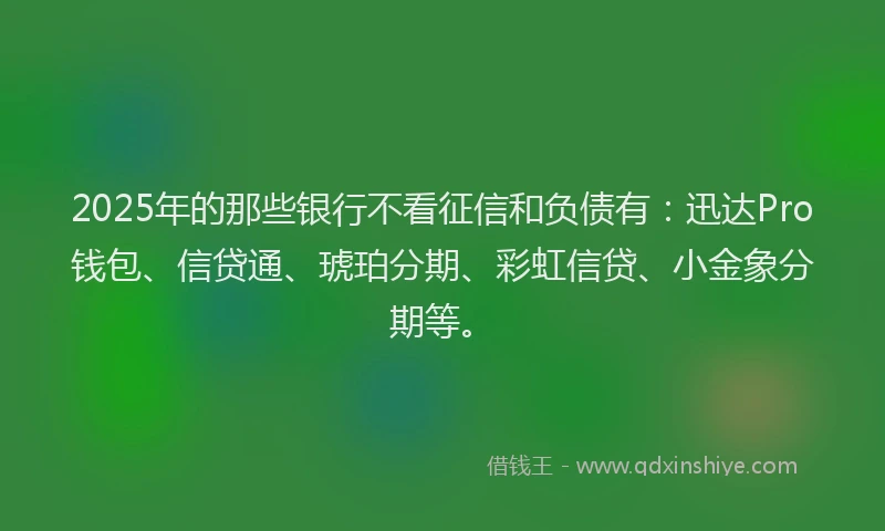 2025年的那些银行不看征信和负债有：迅达Pro钱包、信贷通、琥珀分期、彩虹信贷、小金象分期等。